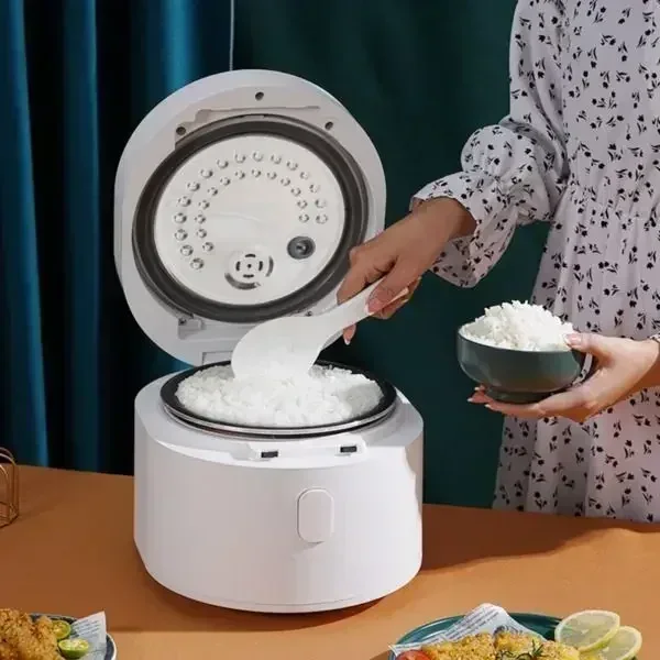 110v smart Rice cooker 3L rice - Kitchen Appliances Canada reseña y precio