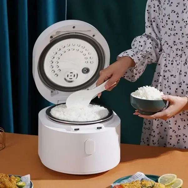 110v smart Rice cooker 3L rice - Kitchen Appliances Canada reseña y precio